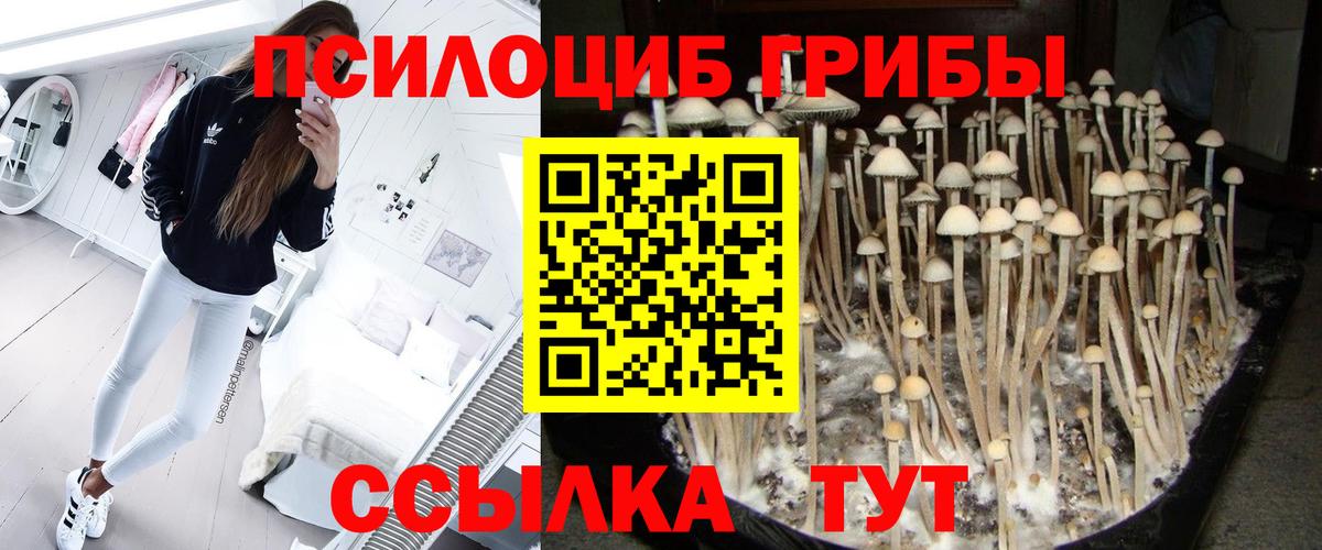 Самара  где продают   Вход с VPN  Псилоцибиновые грибы Magic Shrooms  Галлюциногенные грибы Cubensis 